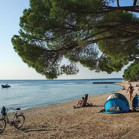 Lovely In With Wifi * Перой