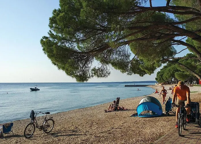 Lovely In With Wifi * 페로이